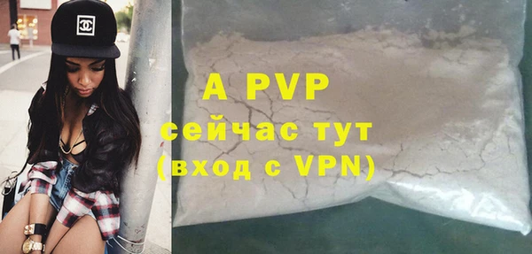 дживик Краснослободск
