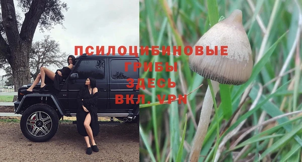прущая мука Чекалин