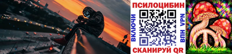 Псилоцибиновые грибы Cubensis  Махачкала 