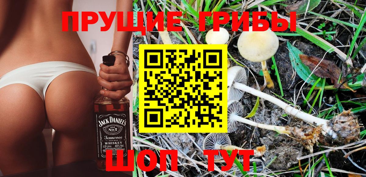Галлюциногенные грибы Psilocybine cubensis  Вход с VPN  Махачкала 